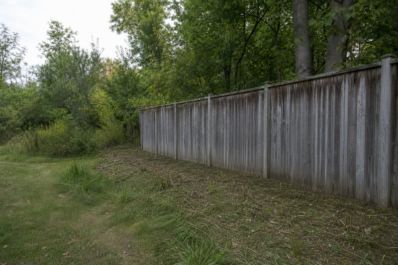 Illustrative view of the same Waterdown property edge after manageable brush is cut