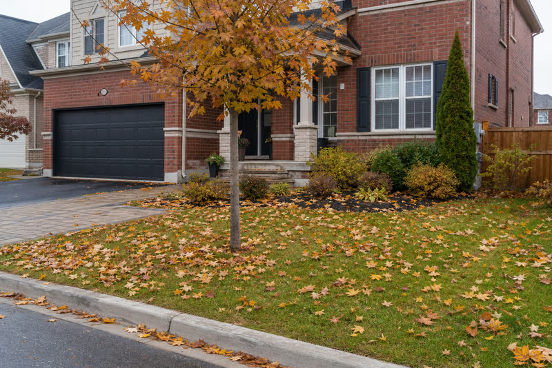 Illustrative Milton front yard with naturally scattered fall leaves before seasonal cleanup